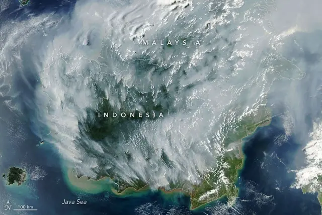 Indoneziyada Peatland yong'inlari osmonni qoraytirdi